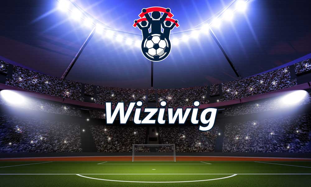 Wiziwig